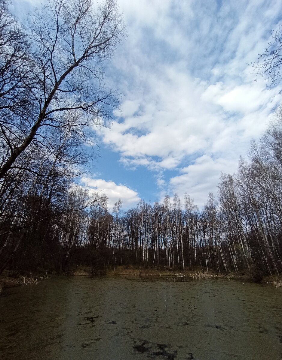 Пруд в зареченском районе