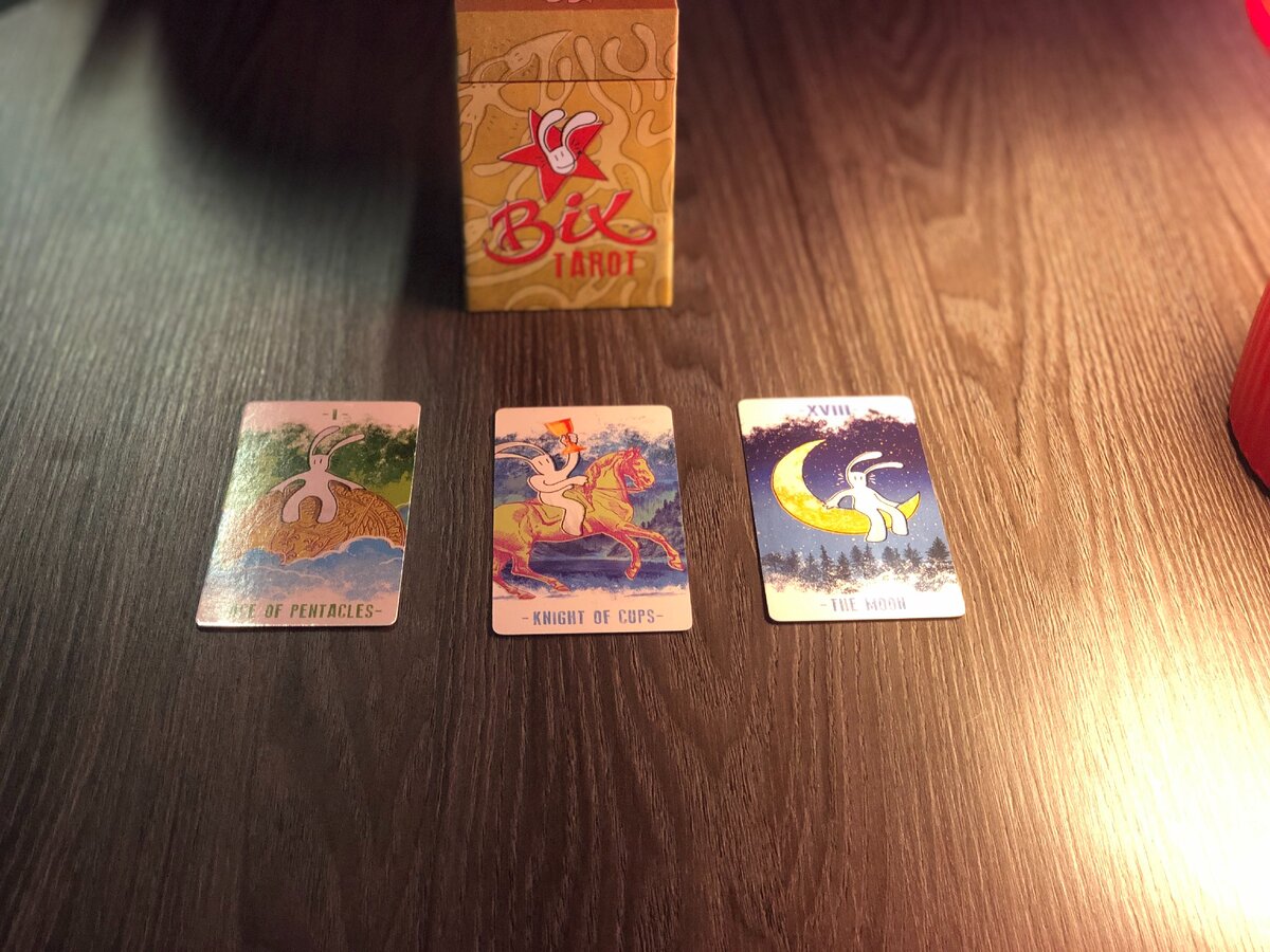 ФОТО КРОЛИЧЬЯ НОРА