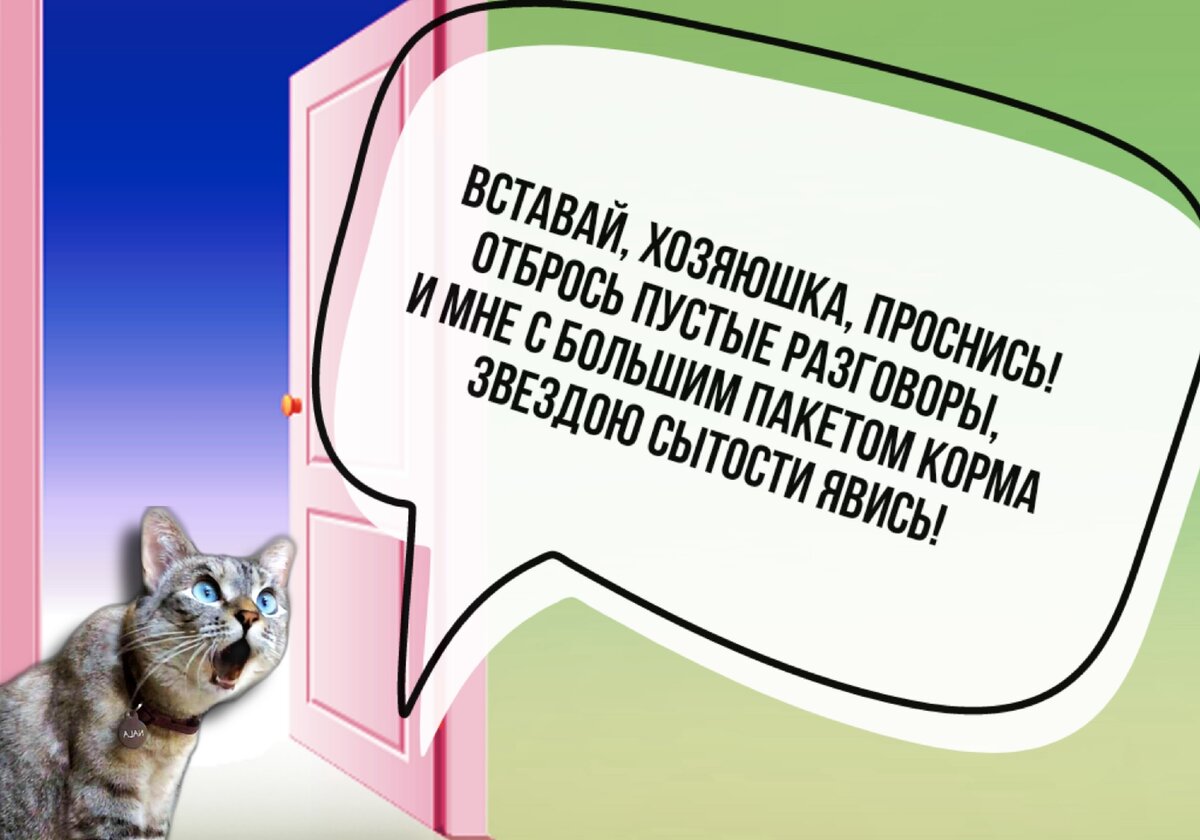 Коллаж автора