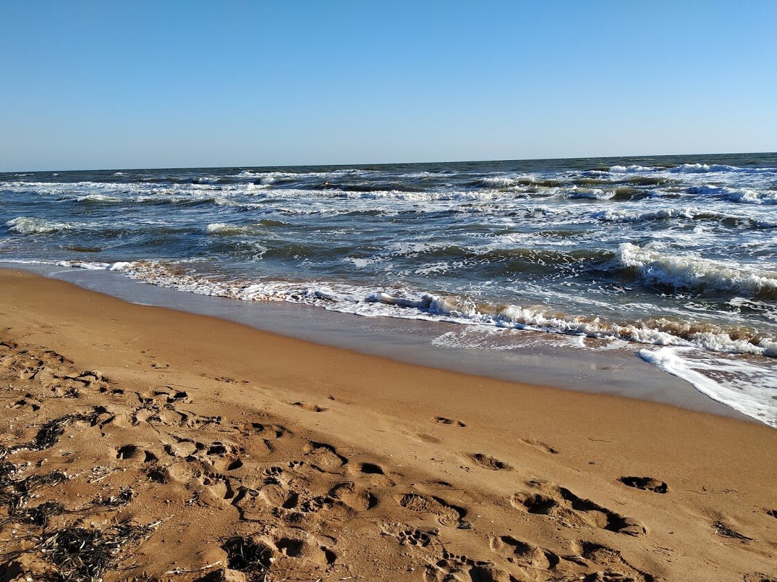 Пляж Кучугуры Азовское море. Кучугуры берег Азовское море. Мыс каменный Кучугуры. Станица Кучугуры.