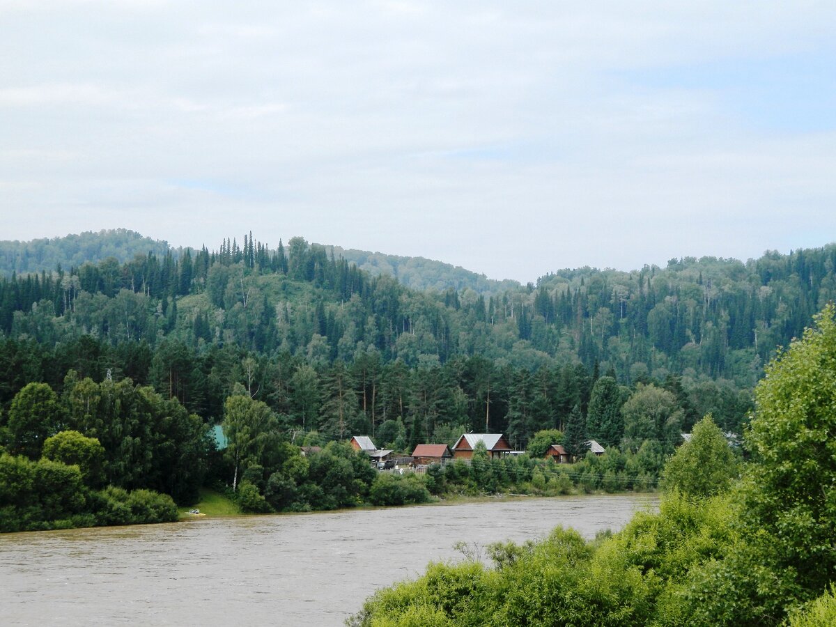 Усть лебедь Турочакский район