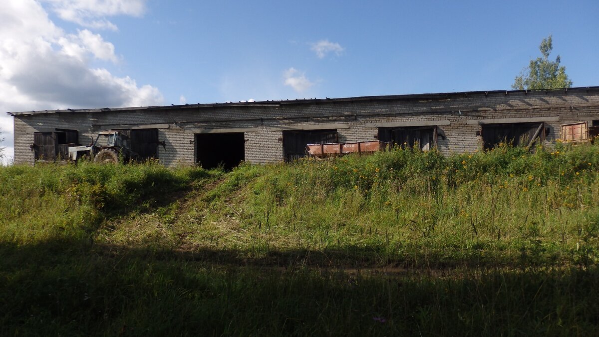 Колхоз сегодня. Банкрот колхоза. Колхоз сегодня. Колхоз сегодня. Колхоз «красный партизан» (д.