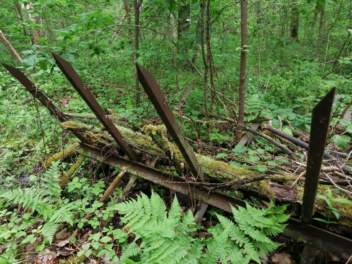 Нашли на немецкой оборонке.
