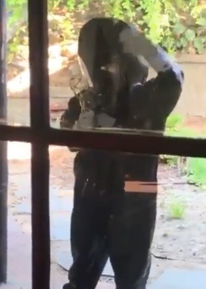 В таких защитных смокингах развозили победителям статуэтки