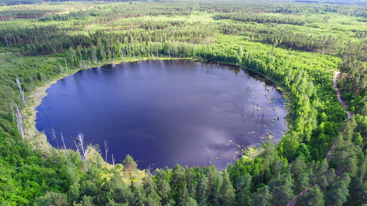Шелковников Евгений Анатольевич, wikipedia.org, лицензия CC BY-SA 4.0