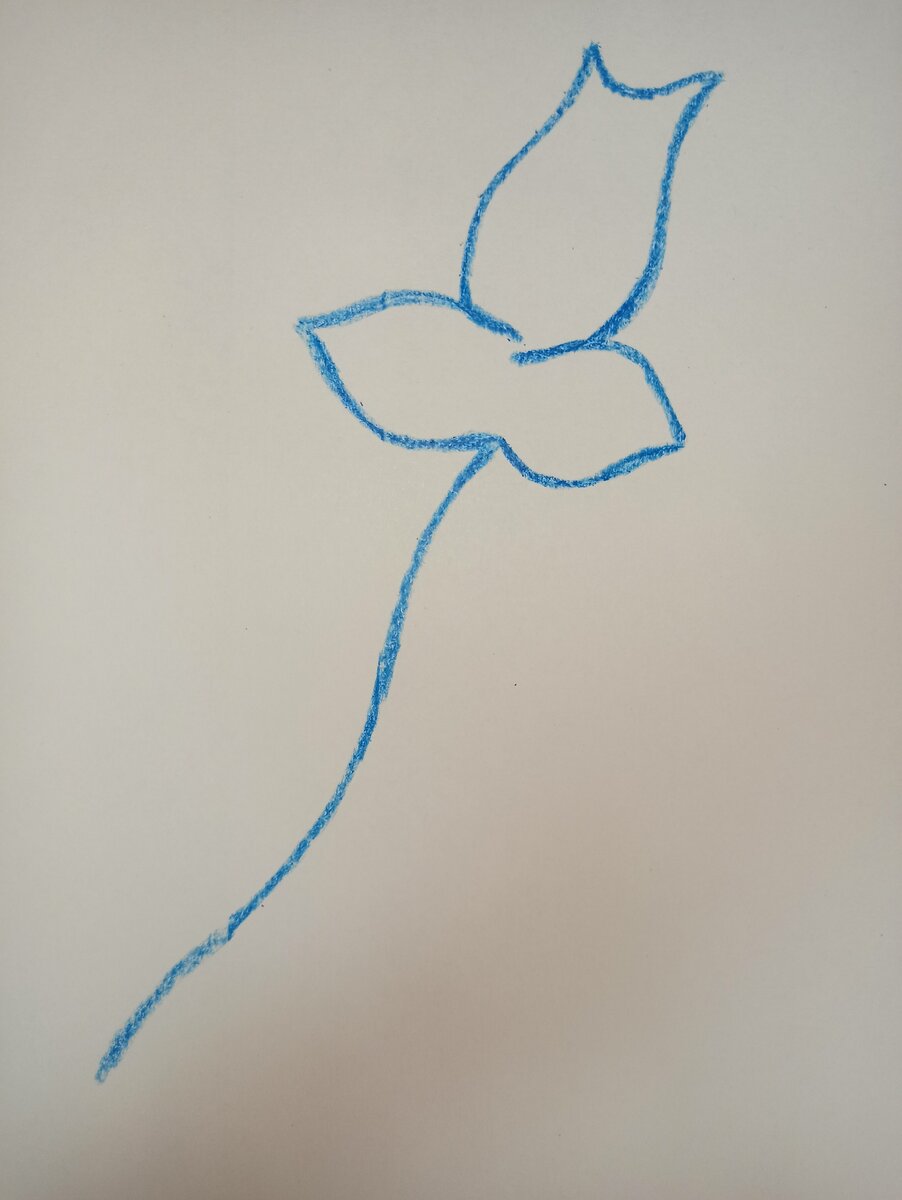 Основания будущего цветка.