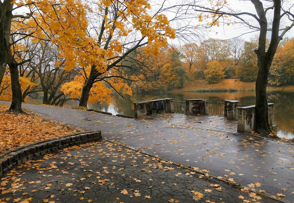 Photoclub.by/ Фото Prud Elena