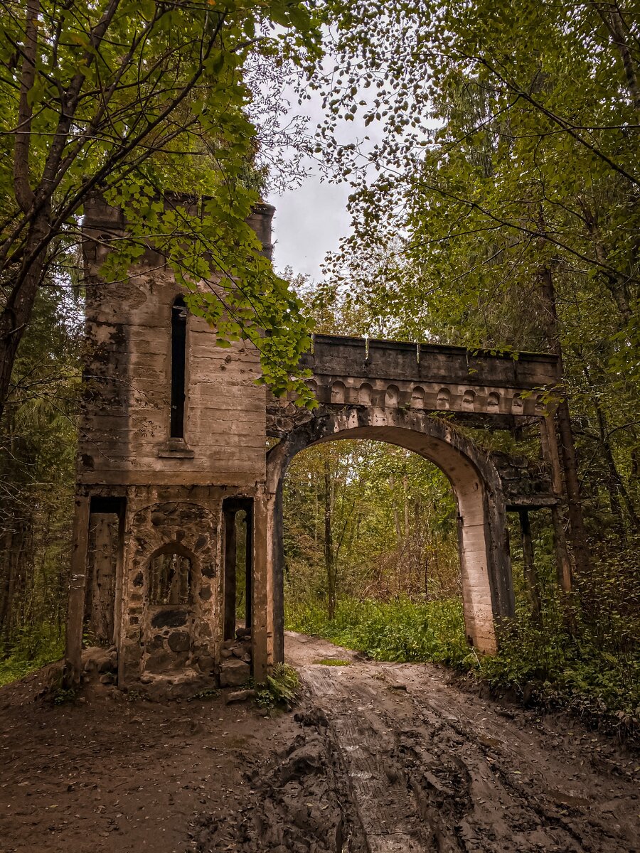 Усадьба и лес. Усадьба заветное Окуловский район. Усадьба заветное 1914. Крестецкий район усадьба заветное. Усадьба заветное Новгородская область.