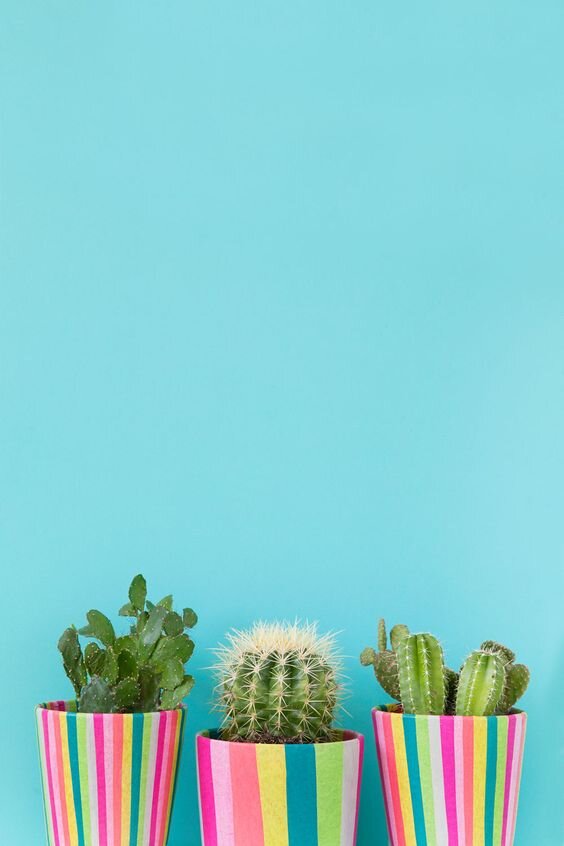 Подбор ит персонала в Москве и Санкт-Петербурге 
