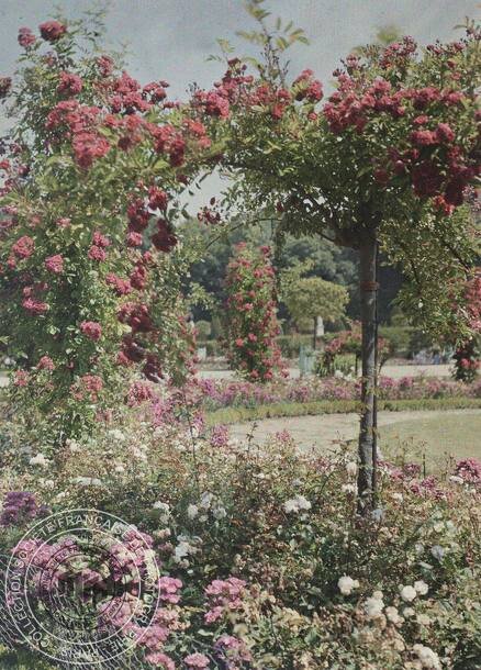 Parterre de Latone, Версаль, 1914 год