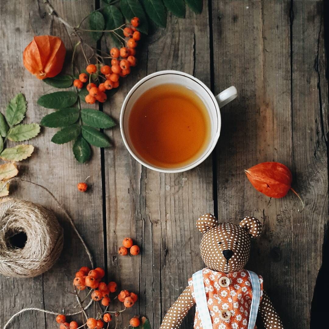 Первое дыхание осени, свежий ветерок – счастье, после жаркого лета. В сентябре ещё чувствуется летнее послевкусие.