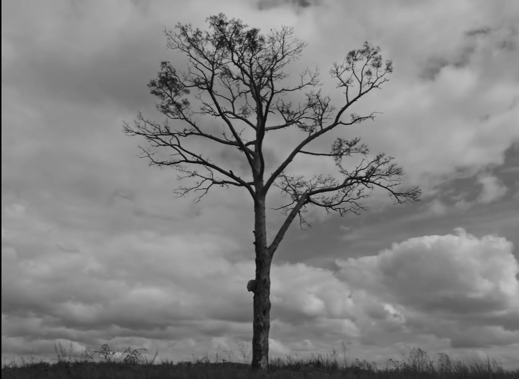 Отрывок из клипа Хаски-Поэма о Родине