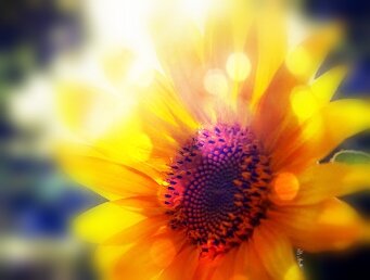 Ставьте "лайки" и подписывайтесь на мой канал!