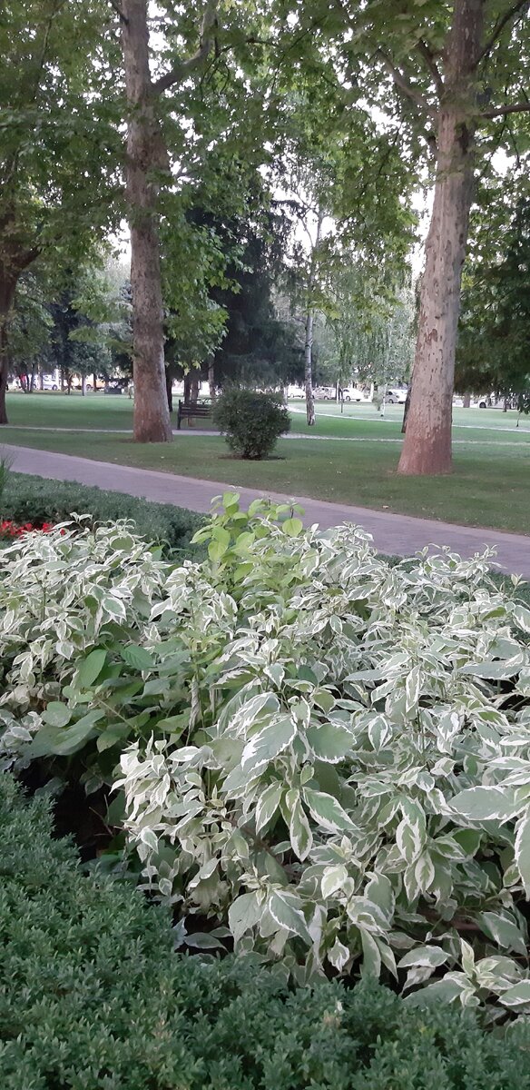 Улица Красная - очень чистая, красивая, ухоженная...