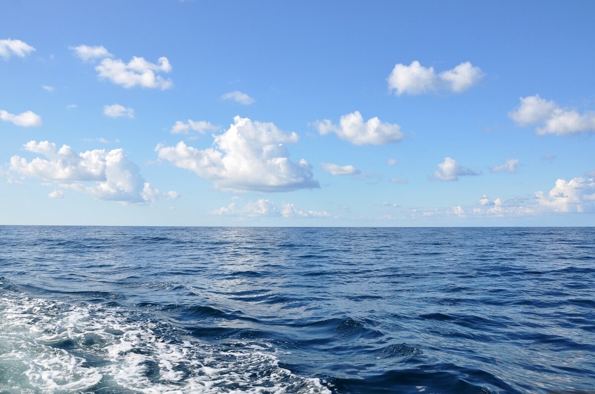 Фото: © Анна Кудрявцева 