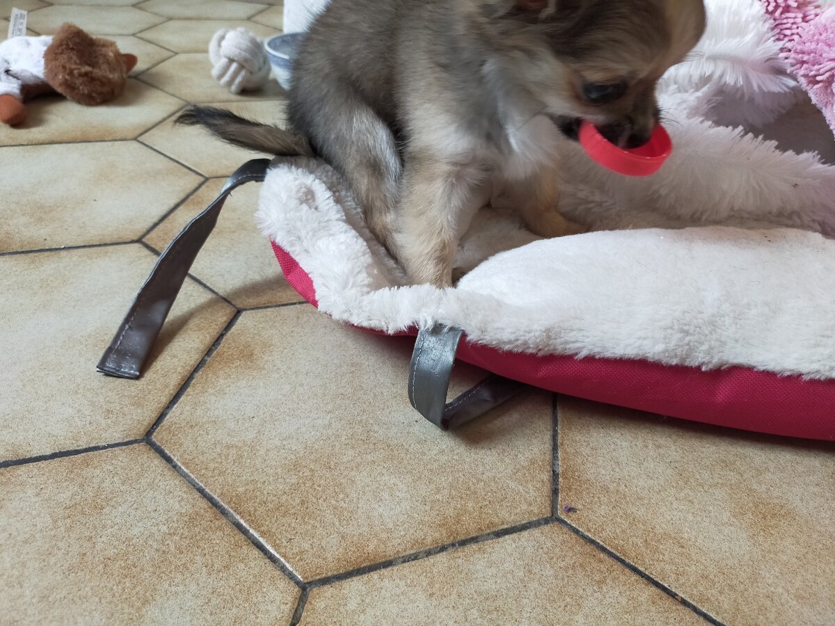 Эсперименты с разными размерами крышек и стаканчиков.