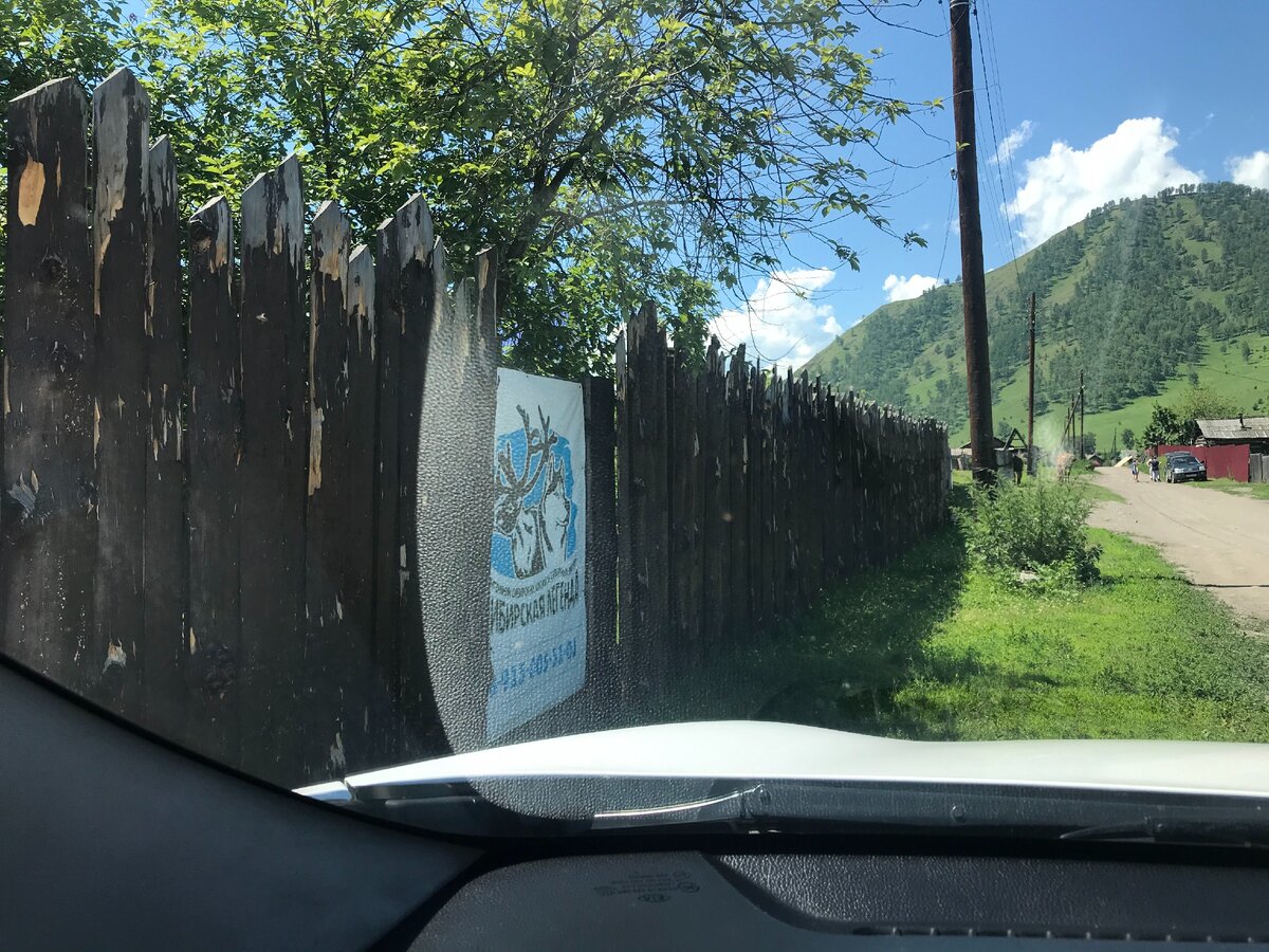 Подъехали к питомнику