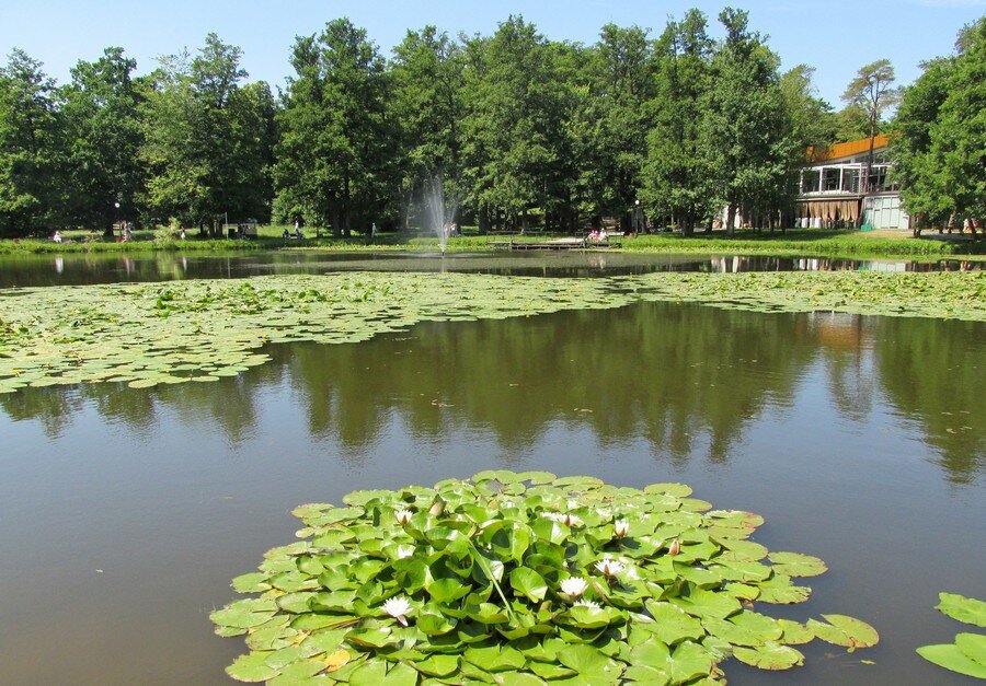 Городской парк зеленоградск фото