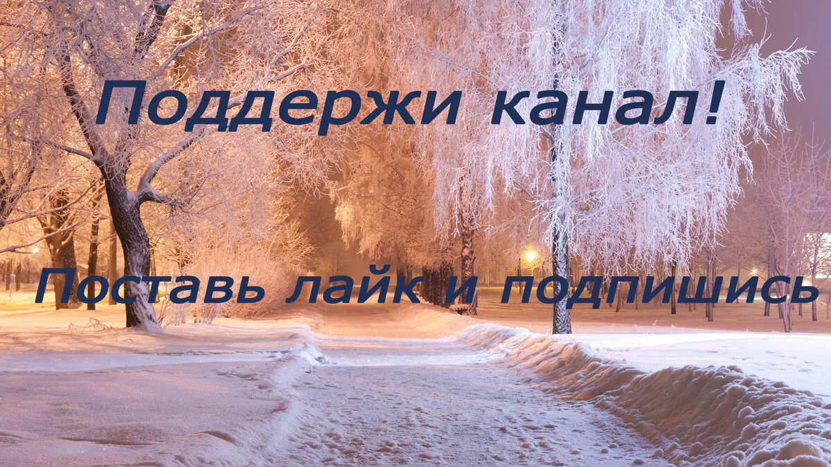 Зачем детей нужно заставлять чистить снег | Алексей Видяев | Дзен