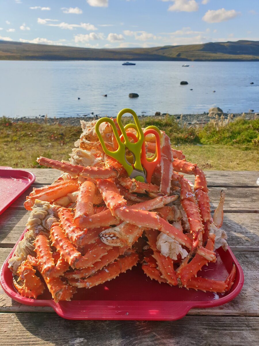 Те самые камчатские крабы.