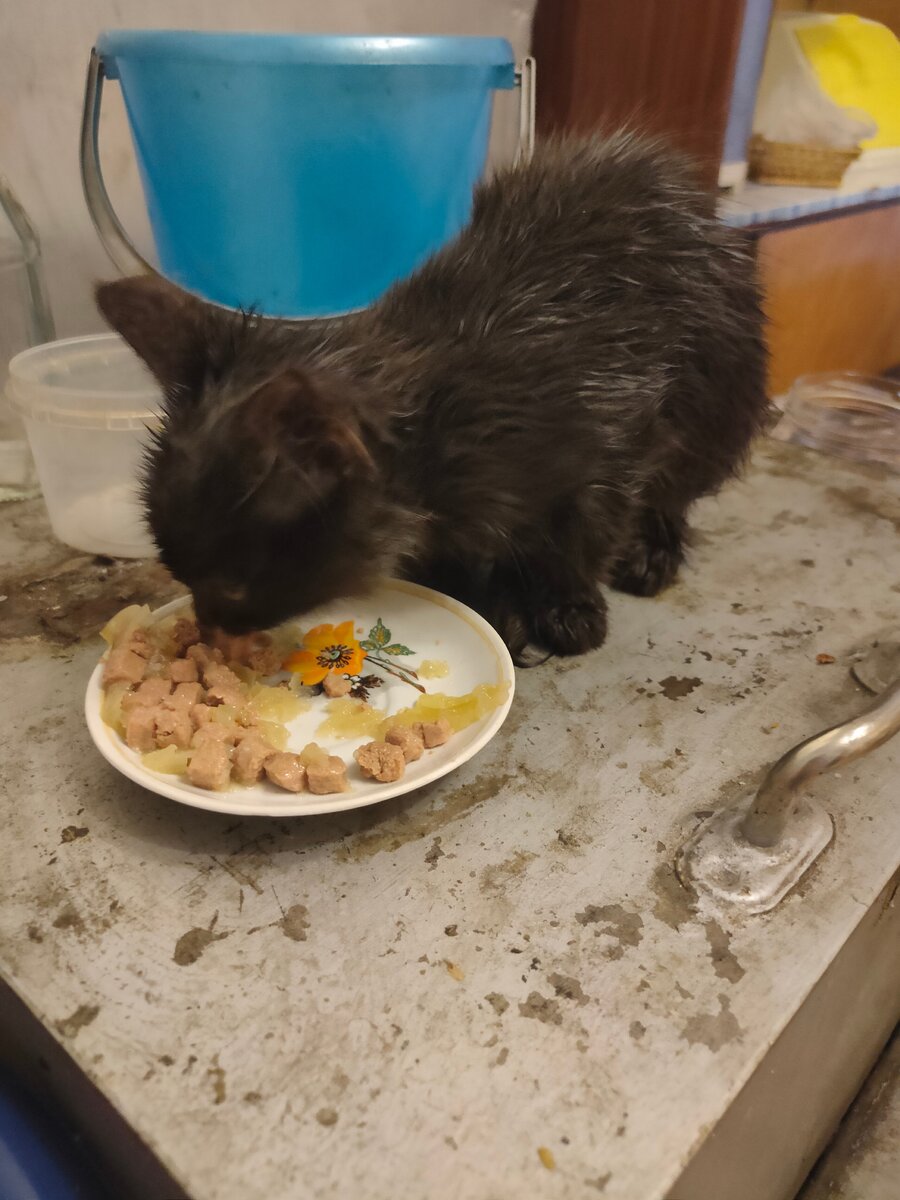 После ванны надо подкрепиться 😊