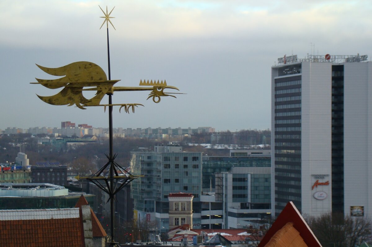 Фото: Таллин. вид на город с Вышгорода, источник - личный архив автора Гурман Гид 