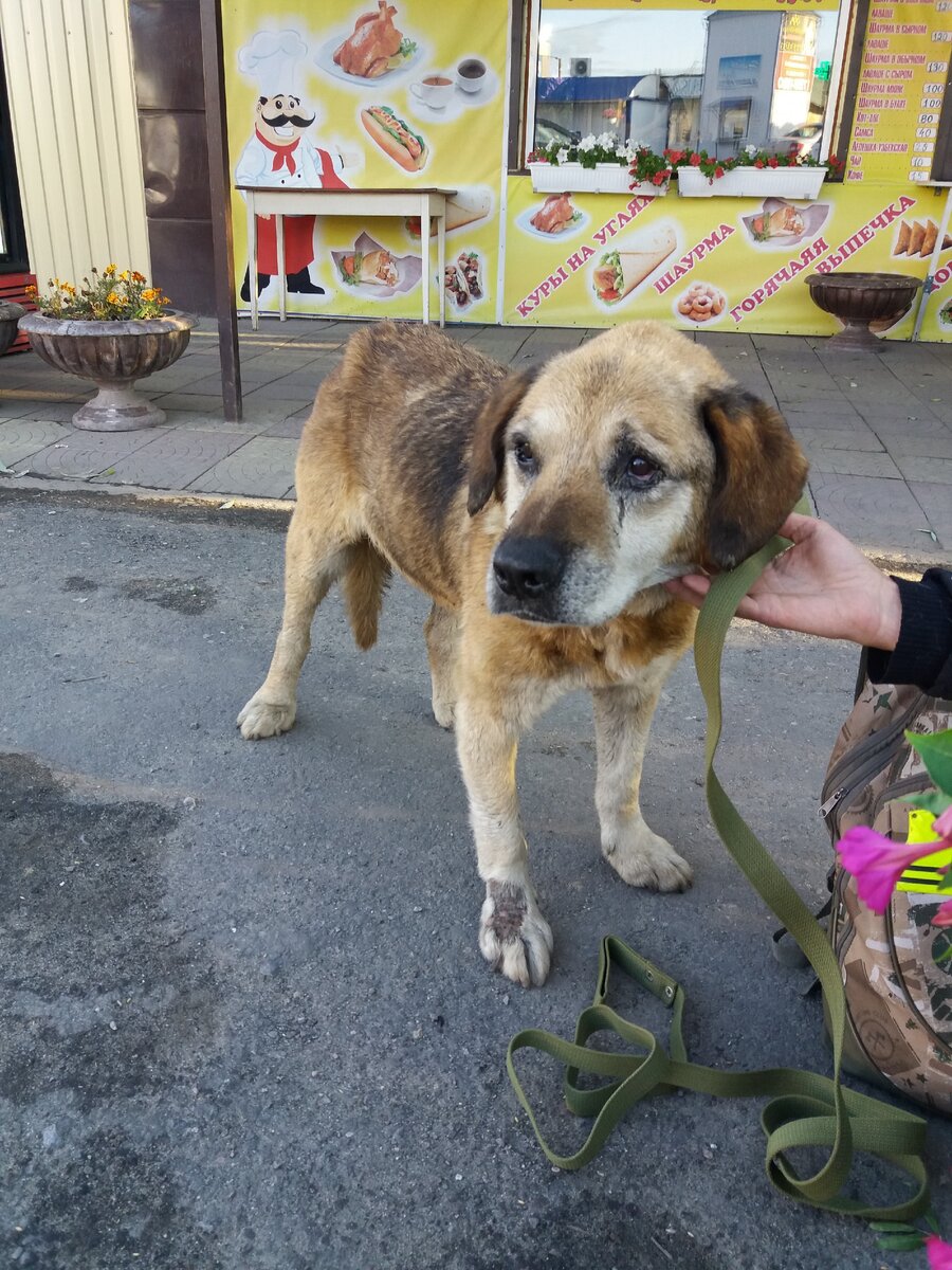 Барни в тот самый первый день, когда мы его увидели