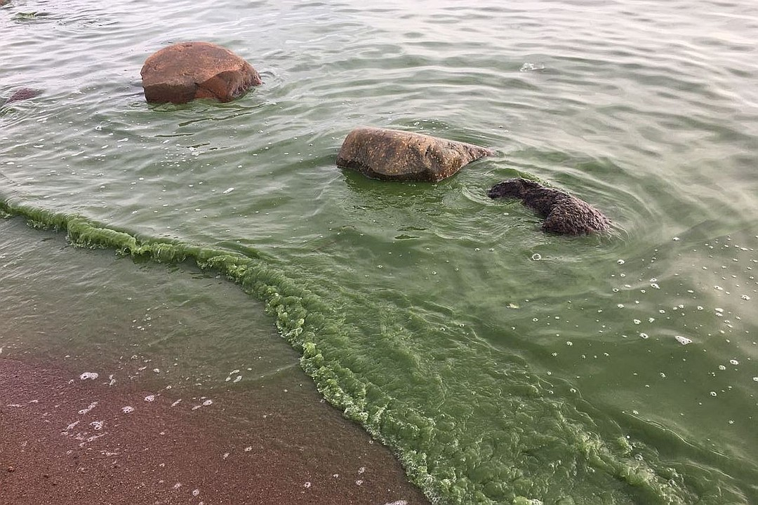 источник фото: sanktpeterburg.bezformata.com 