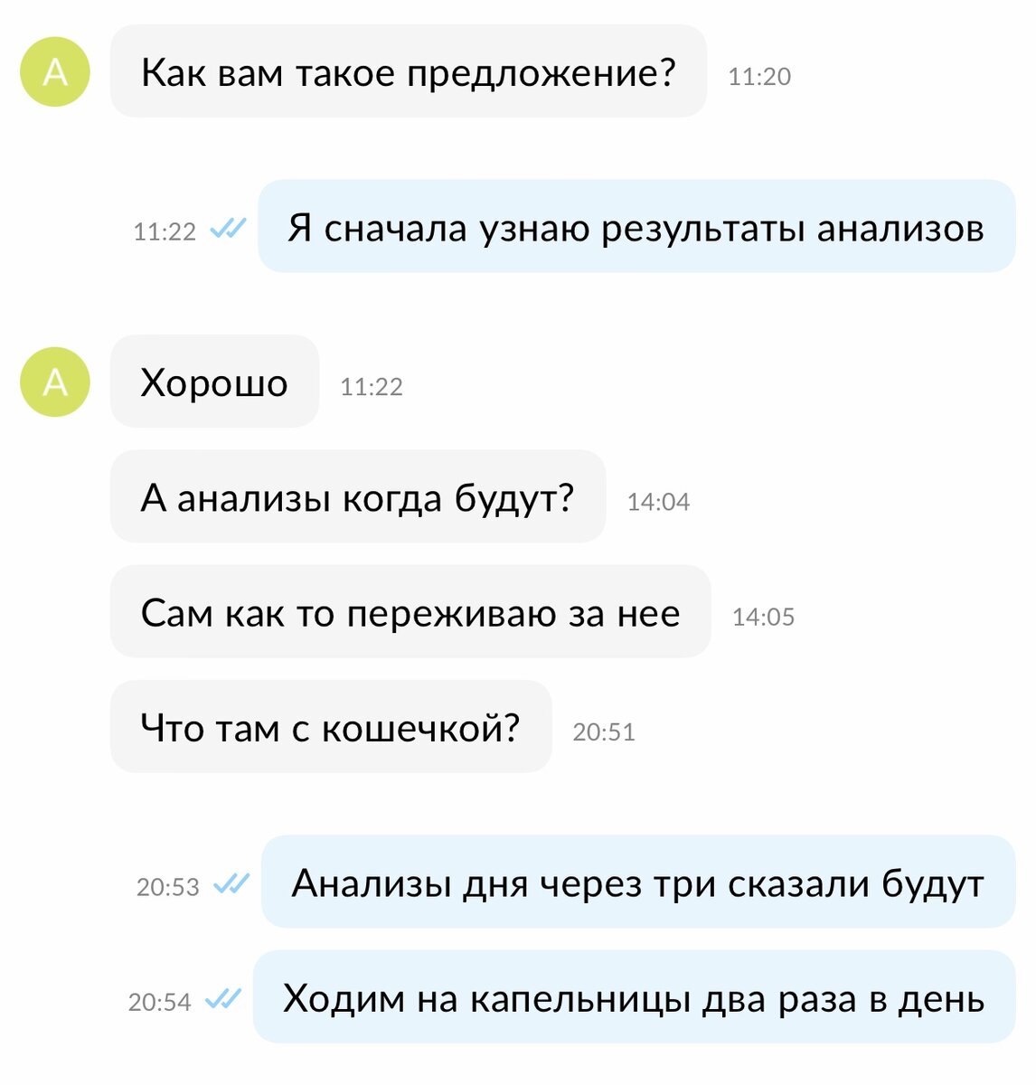 Как отреагировали разведенцы на мою просьбу вернуть деньги за больного  котенка: показываю переписку | Динара и коты | Дзен