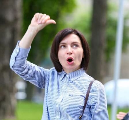 Санду получила от КС дилему. фото Яндекс картинки