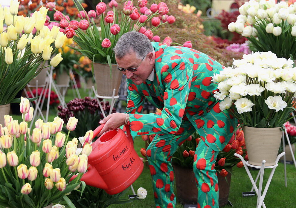 Выставка цветов. Фестиваль цветов в Челси Chelsea Flower show. Chelsea Flower show праздник в Англии. Выставка садов Челси Великобритания. Выставка цветов в Челси Лондон Великобритания.