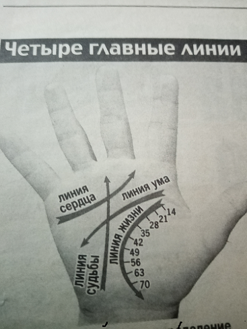 Повторяю для удобства фото линий на руке (фото автора)