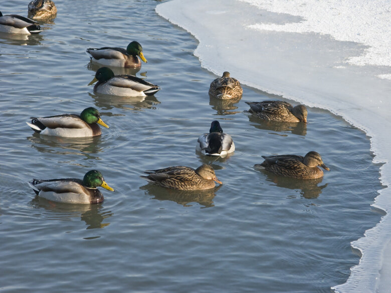 Фото tumenpro.ru