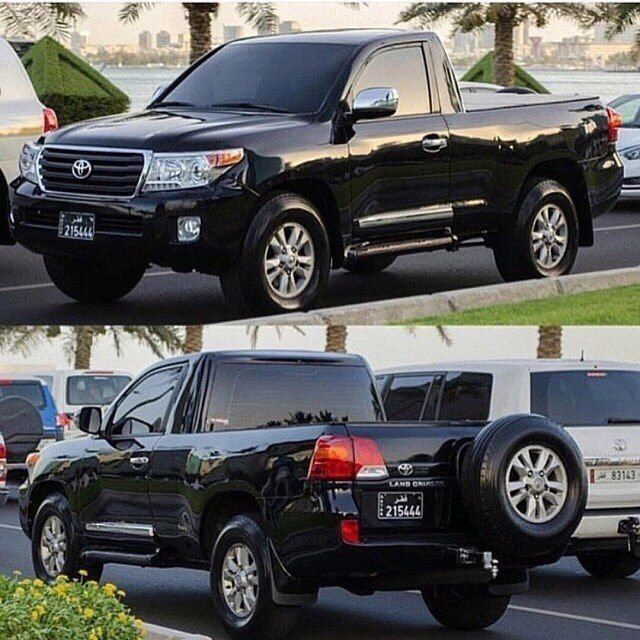 Фото с портала Яндекс Картинки.