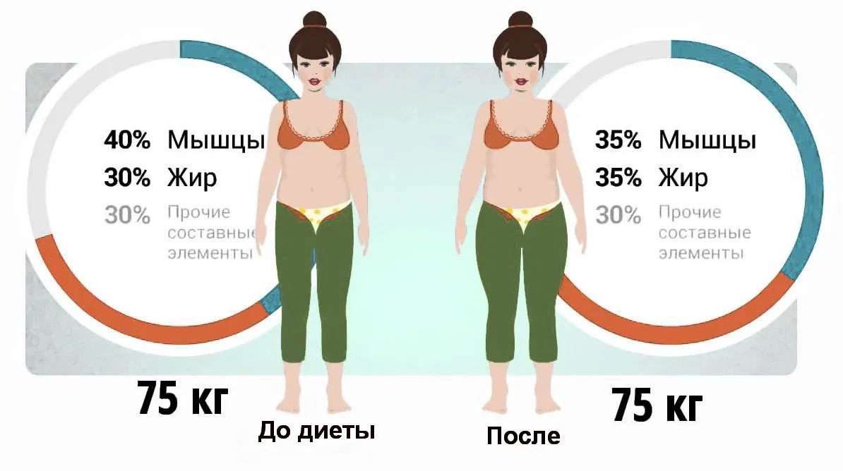 Почему нормальные. Тест на жир в организме. Состав тела мышцы жир вода. Состав массы тела человека Танита. Тест на состояние тела
