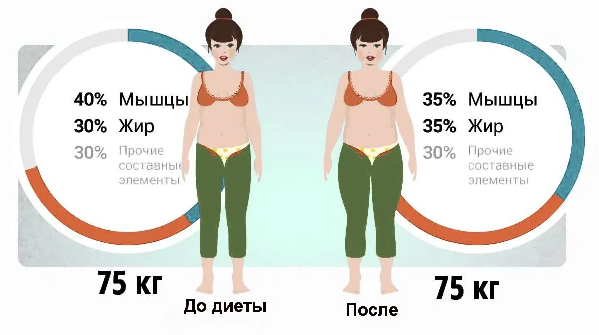 Почему нормальные. Тест на жир в организме. Состав тела мышцы жир вода. Состав массы тела человека Танита. Тест на состояние тела.