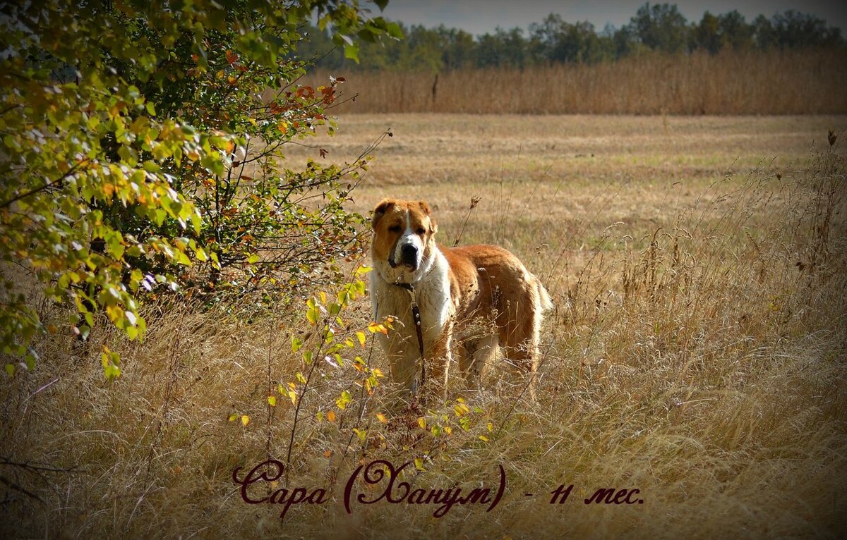 Фото из личного архива