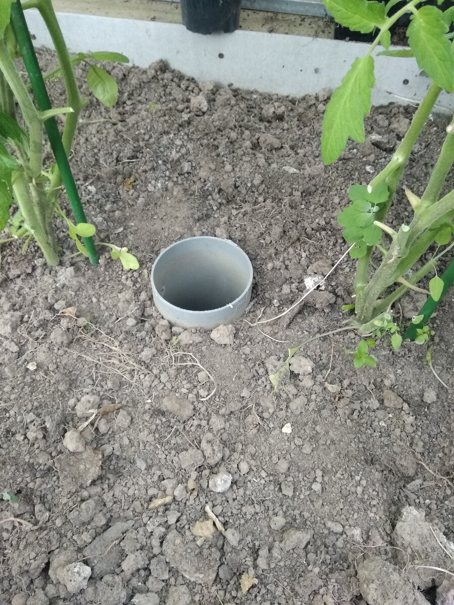 Фотография из личного архива