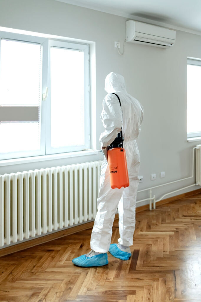 Уничтожение клопов