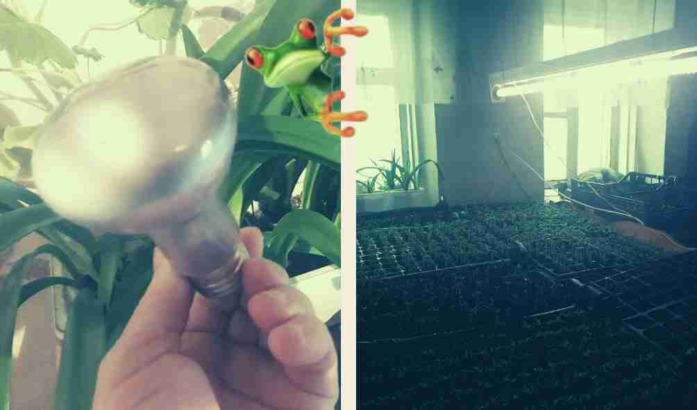 Фитолампы для досвечивания рассады