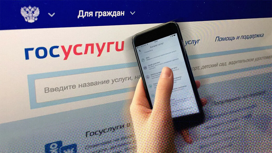 ФОТО: csn-tv.ru. 