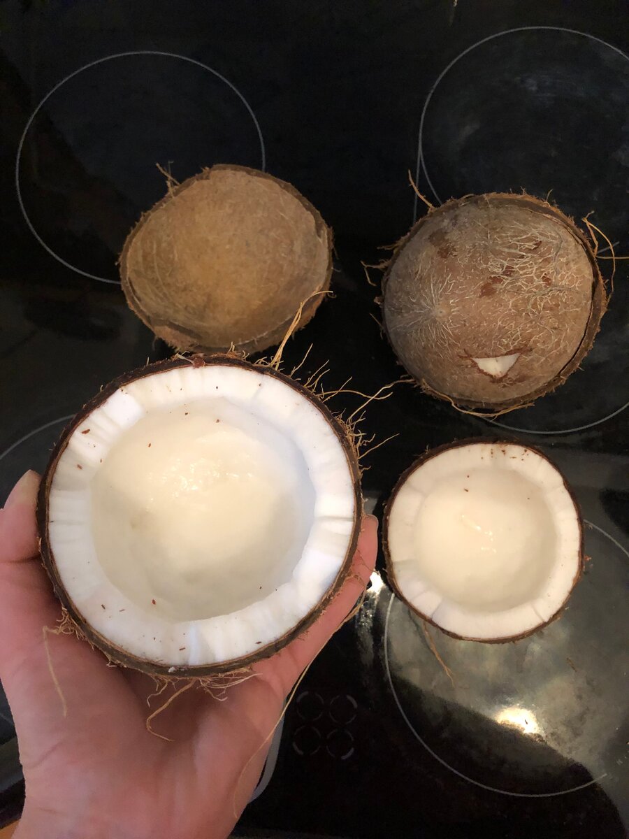 Кокосы из Магнита