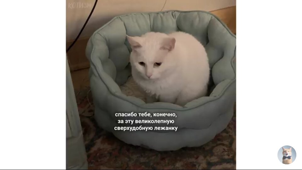 и грустно и смешно