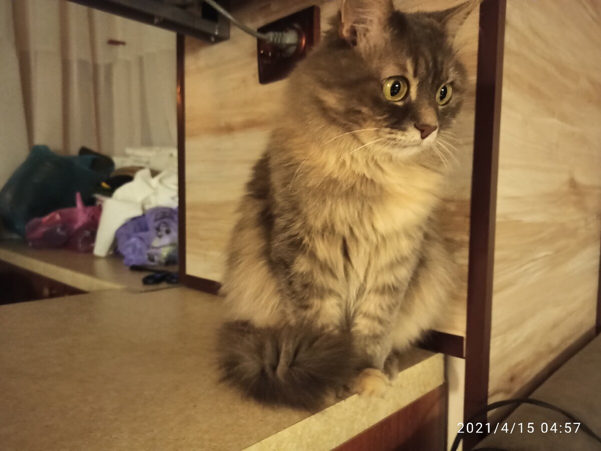 Маняха, которой только что пришла в голову очередная идея