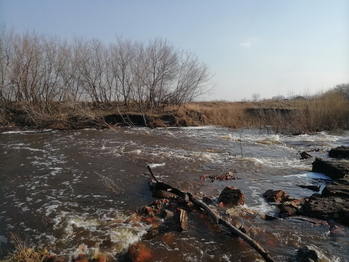 Река в нашем огороде. Юргамыш | С бухты-барахты или жили были... | Дзен