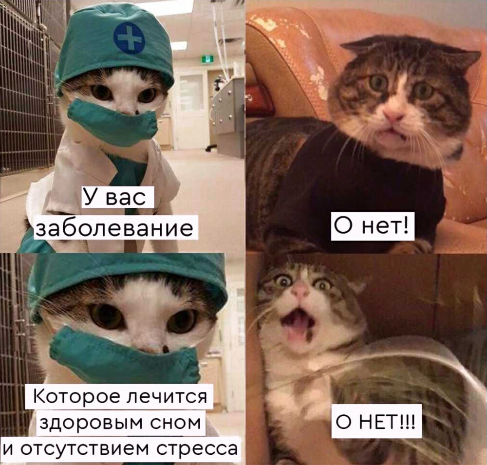 Источник: Яндекс.Картинки