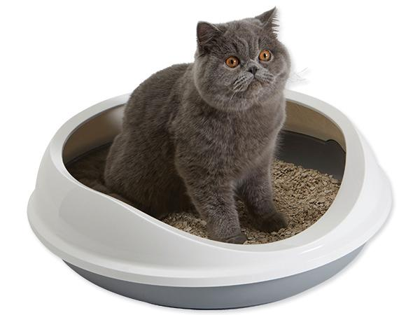 Кормушка и поилка 
Кормушка и поилка должны быть раздельные (не в моноблоке), так как часто корм попадает в воду и вода закисает, тогда возникает необходимость промыть ёмкость и освежить воду. Рекомендую выбирать посуду из жести, керамики или стекла, так как у некоторых кошек случаются аллергические реакции на пластик и появляются прыщи на мордочке.