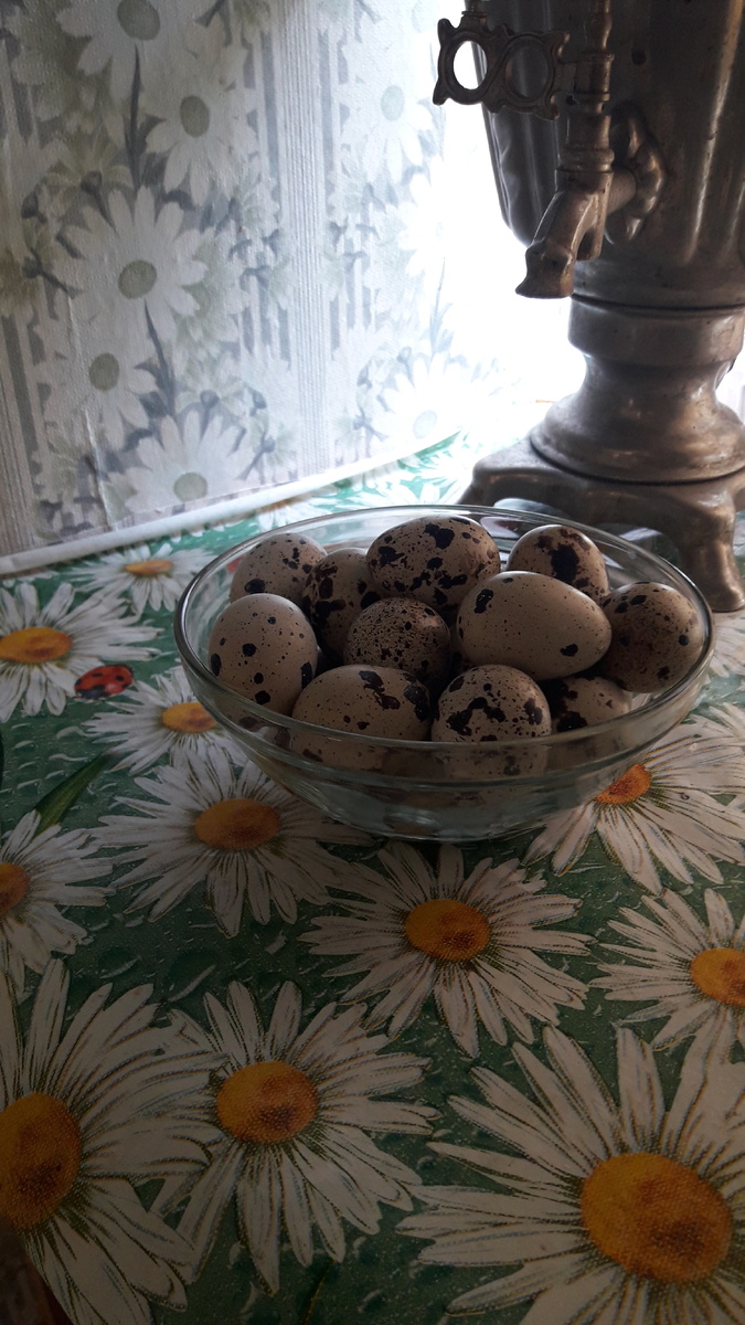 Фото автора канала