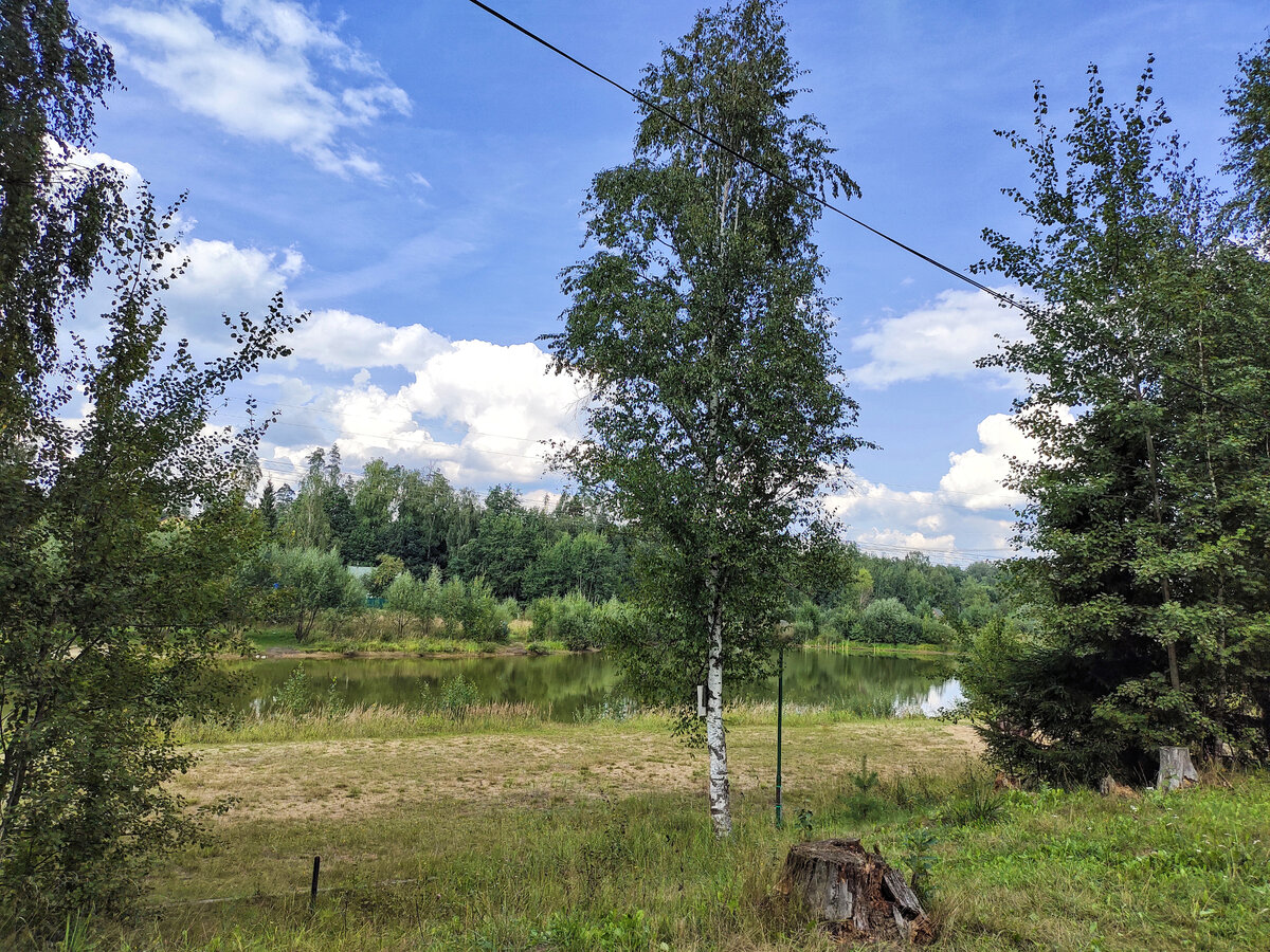 Есть симпатичный прудик или это речка