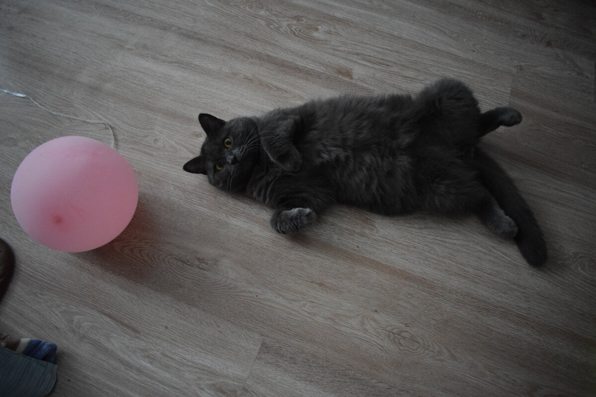 Я и любимый шарик